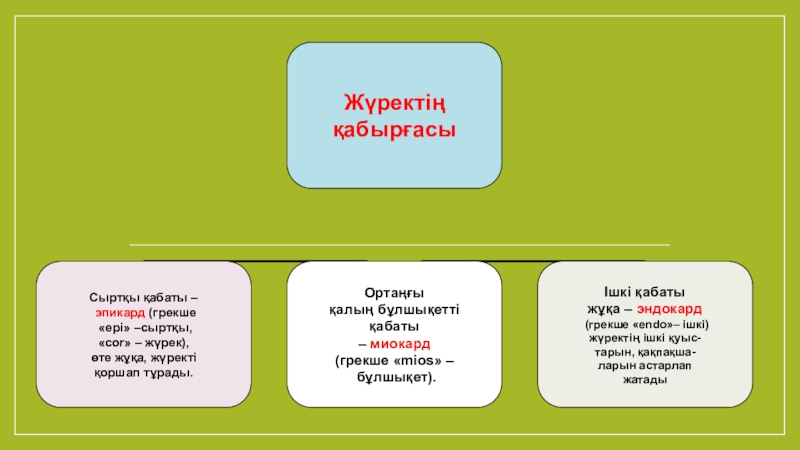 Презентация қан кету