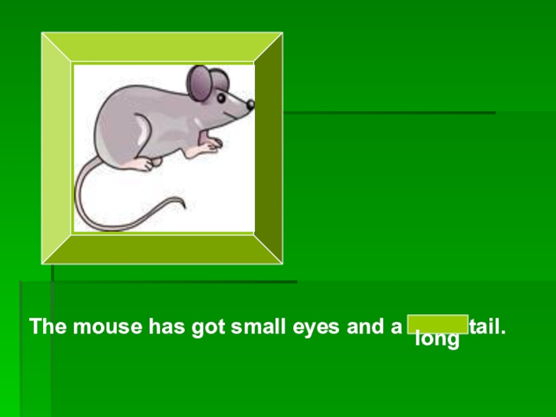 It s got a small. A Mouse has got. Английский язык 3 Mice have got Ling Tails. Have Mice got long Tails ответ. A Mouse has got a long Tail.