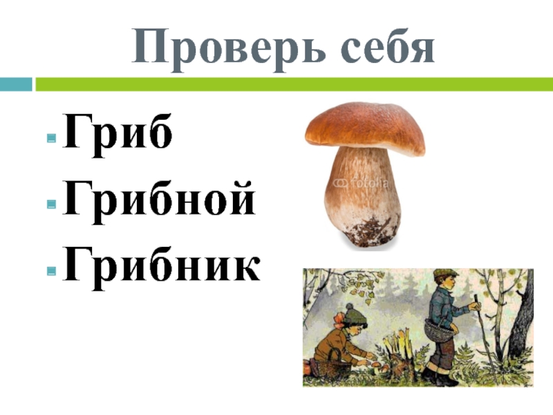 Однокоренные слова к слову гриб. Гриб однокоренные слова. Гриб однокоренные. Гриб грибной однокоренные слова. Однокоренные Сова гриб.