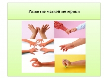 Мелкая моторика