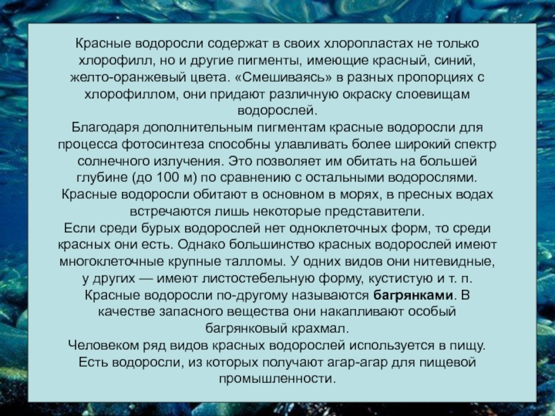 Значения водорослей в природе 6 класс