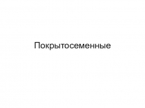 Презентация отд. Покрытосеменные 6 класс