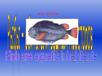 Презентация по биологии на тему : Рыбы (7 класс)