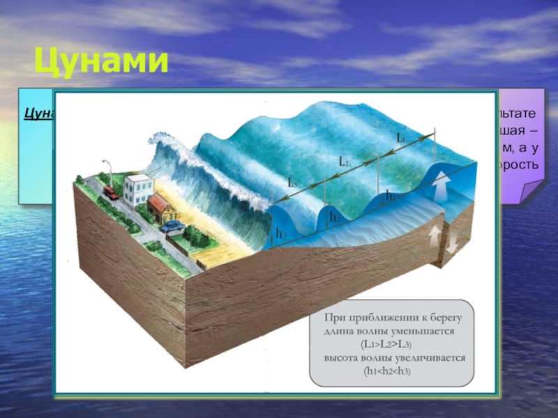 Цунами презентация 6 класс география