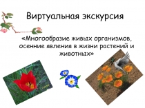 Презентация Виртуальная экскурсия по стране Биология