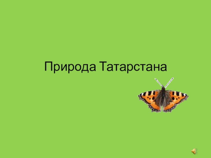 Презентация Презентация по биологии на тему: Природа Татарстана (5 класс)