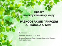 Презентация по окружающему миру Природа Алтайского края