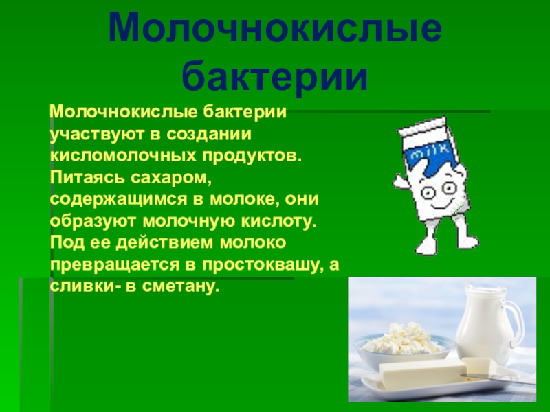 Презентация о кисломолочных продуктах