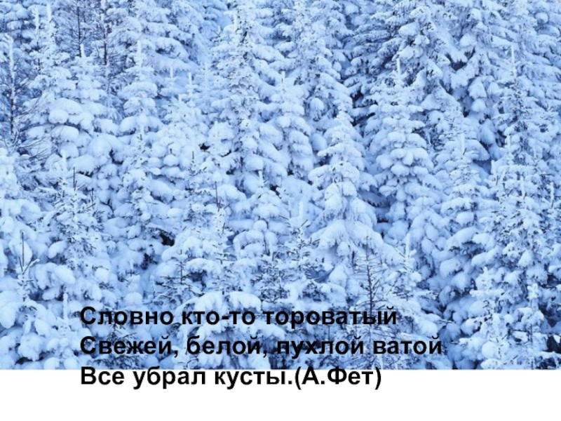 Тороватый значение слова. Словно кто-то тороватый. Словно кто-то тороватый свежей белой пухлой ватой все убрал кусты. Фет тороватый. Словно кто-то тороватый свежей белой.