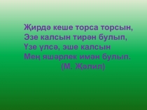 Презентация по татарской литературе на тему Авылым - горурлыгым (8 класс)