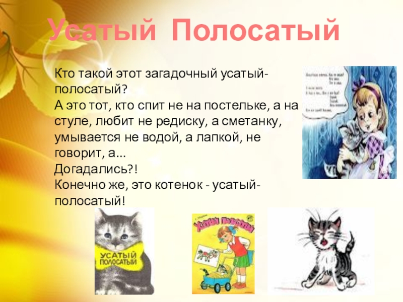 Кто такой этот загадочный усатый-полосатый? А это тот, кто спит не на постельке, а на стуле,