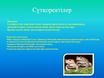 Сүтқоректілер класының негізгі ерекшеліктері