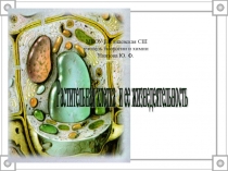 Презентация по биологии на тему  Растительная клетка и ее жизнедеятельность