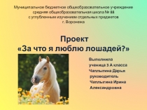 Проект За что я люблю лошадей (3 класс)