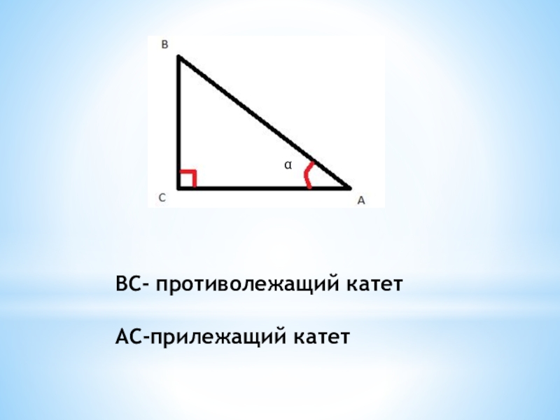 Тангенс отношение прилежащего