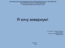 Презентация к итоговому занятию по теме Аквариум игра Я хочу аквариум