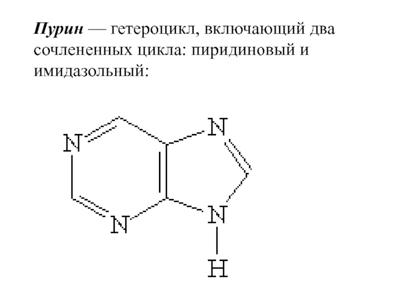 Пиридиновый цикл. Пурин. Пурин применение. Азотосодержащие гетероциклические соединения.