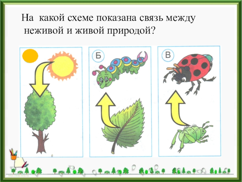 Взаимосвязи между человеком и природой окружающий мир 1 класс школа россии конспект и презентация