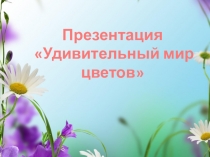 Презентация Удивительный мир цветов