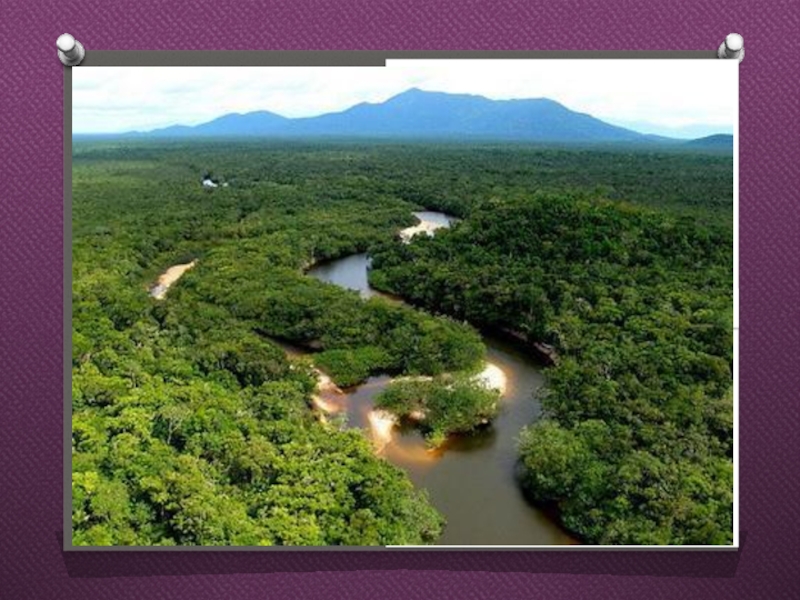 Полноводная река планеты. Самая полноводная река в мире. Самая полноводная река планеты. Гилеи Амазонии.