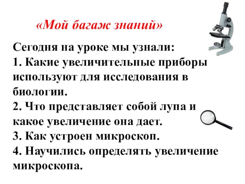 Презентация на тему увеличительные приборы 5 класс