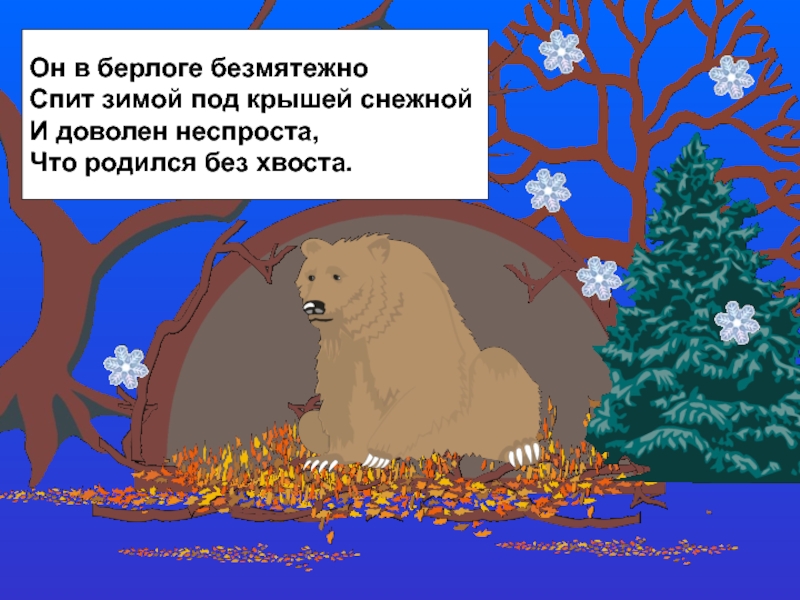 Их маленькие берлоги покрывают снежные сугробы и они преспокойно спят всю зиму схема предложения