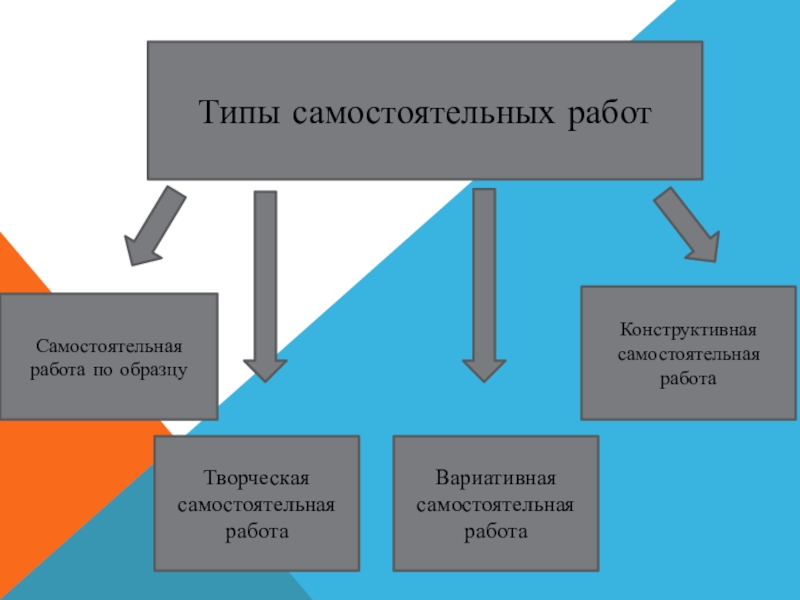 2 виды самостоятельной работы. Типы самостоятельных работ. Виды самостоятельной работы. Вариативная самостоятельная работа это. Творческий вид самостоятельной работы примеры.