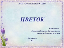 Презентация к уроку Цветок