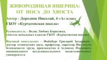 Презентация по окружающему миру на тему: Живородящая ящерица от носа до хвоста (4 класс)