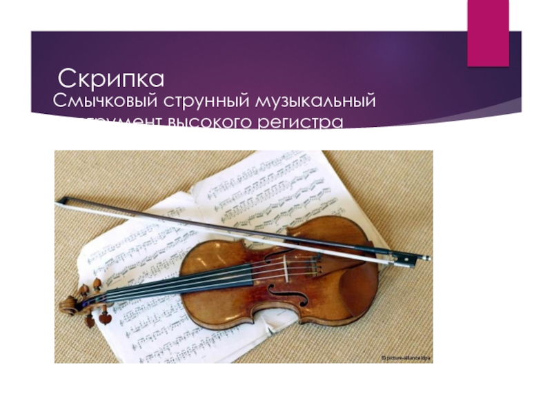 Скрипка Смычковый струнный музыкальный инструмент высокого регистра