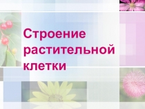 Презентация по естествознанию на тему Строение растительной клетки (5 класс)