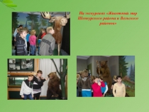 Презентация Экологическое воспитание ч.3.