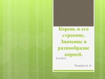 Презентация по биологии на тему Корень: строение, функции