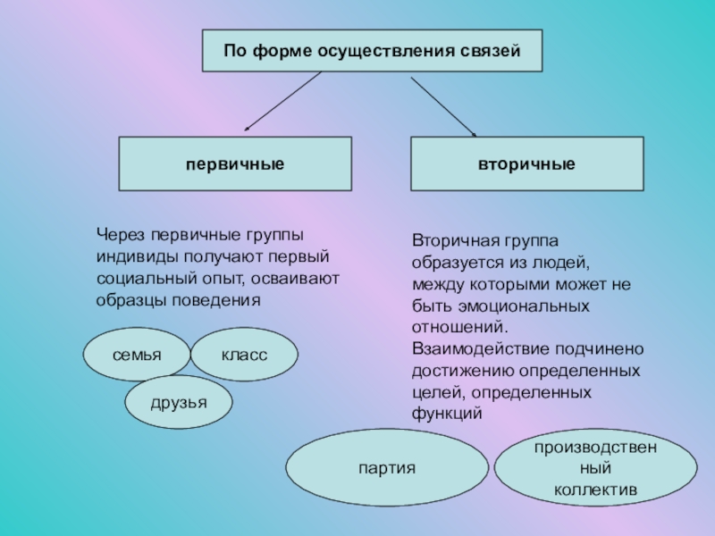 Вид группы взгляды и нормы которой служат образцом для личности