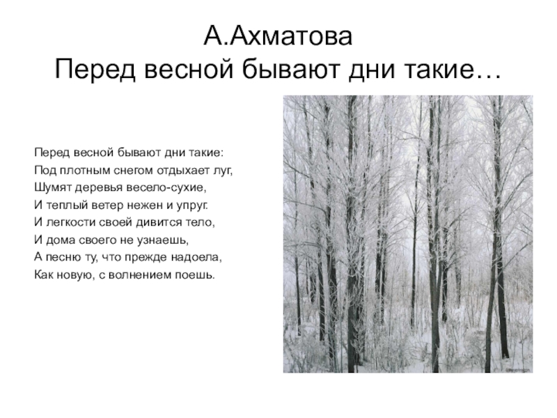 Стихи 20 века не причини природе зла. Перед весной бывают дни такие Ахматова. Стихотворение Анны Ахматовой перед весной.