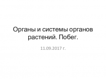 Органы и системы органов растений.