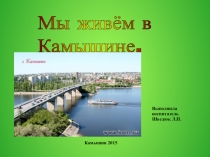 Презентация по ознакомлению с окружающим для детей Мой Камышин
