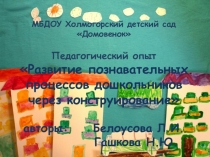 Педагогический опыт Развитие познавательных процессов дошкольников через конструирование