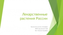 Презентация по географии на тему Лекарственные растения России