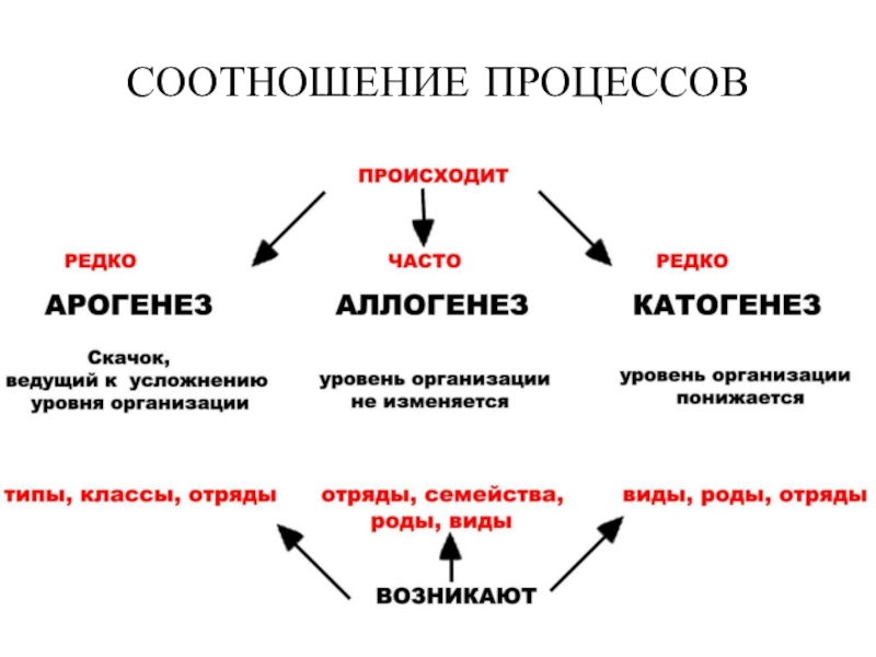 Схема биологического прогресса и регресса