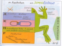 Презентация по биологии на тему Класс Пресмыкающиеся(7 класс)