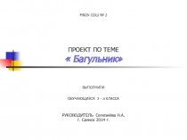 Презентация Проект о багульнике