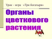 Презентация к уроку по биологии Органы цветкового растения
