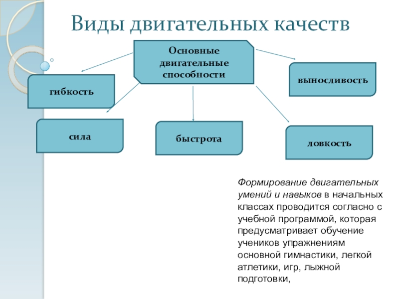 Двигательные возможности человека. Двигвтельное способности. Основные двигательные способности. Виды двигательных качеств. Структура двигательных способностей.