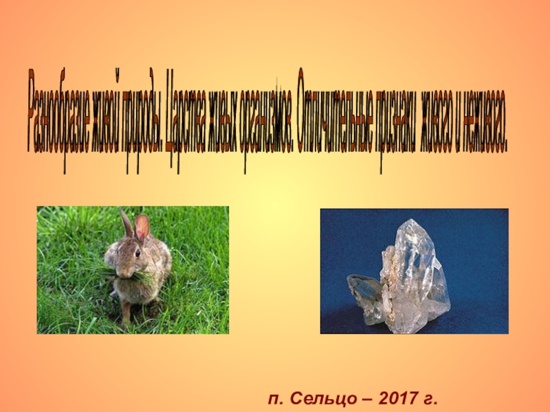 Проект на тему многообразие живой природы 6 класс