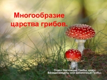 Презентация по биологии по теме: Многообразие грибов