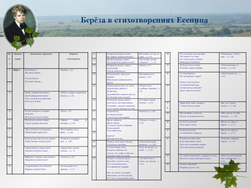 Анализ стихотворения береза есенина 3 класс. Анализ стиха береза Есенин. Анализ стихотворения Есенина береза. Анализ стиха Есенина береза. Есенин береза анализ.