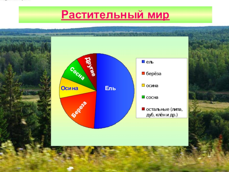 Растительный и животный мир удмуртии презентация