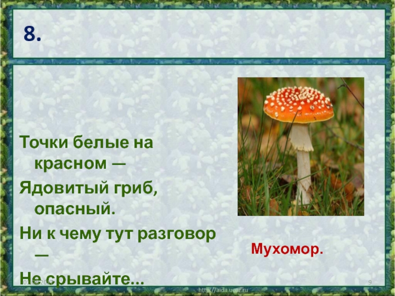 8.Точки белые на красном —Ядовитый гриб, опасный.Ни к чему тут разговор —Не срывайте...Мухомор.