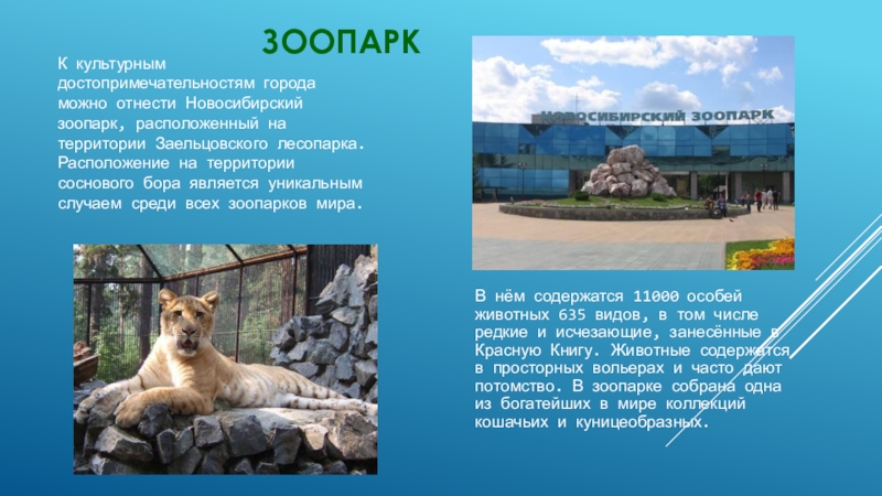 Новосибирск проект 5 класс